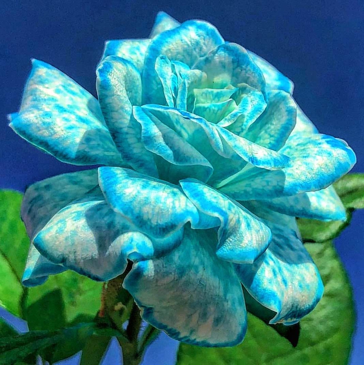 Beautiful