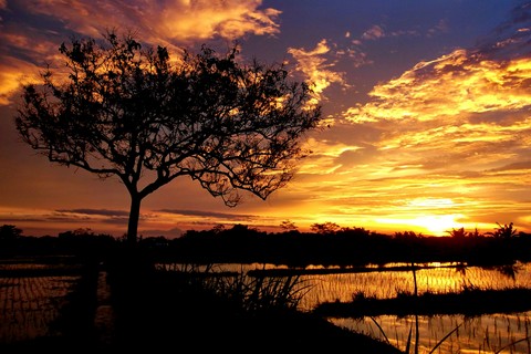 My Sunset