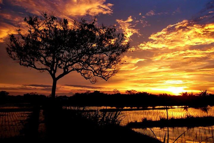 My Sunset