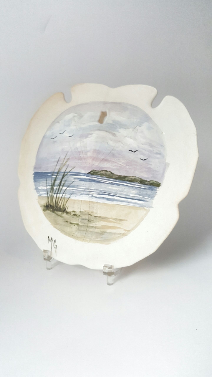 Sand Dollar