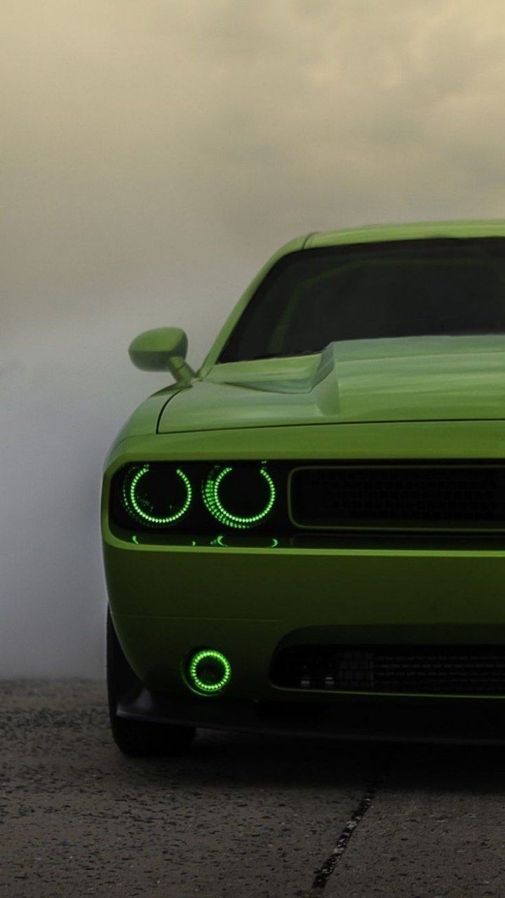 doog charger