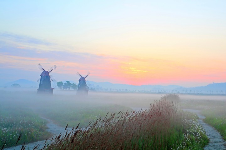 fog and windmil