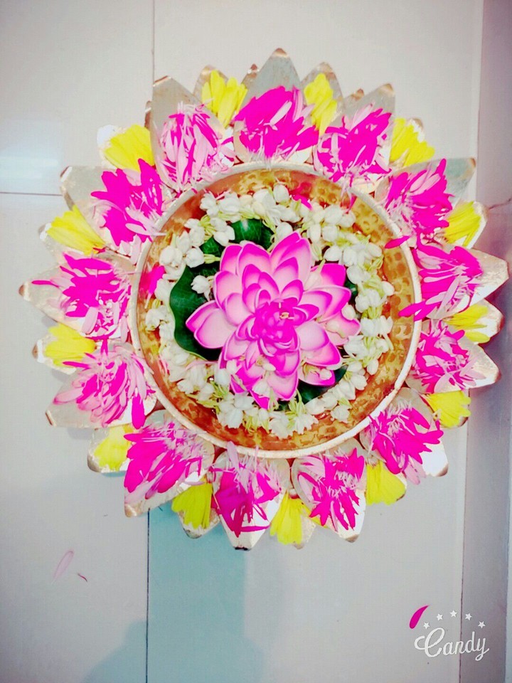 Flower Pot