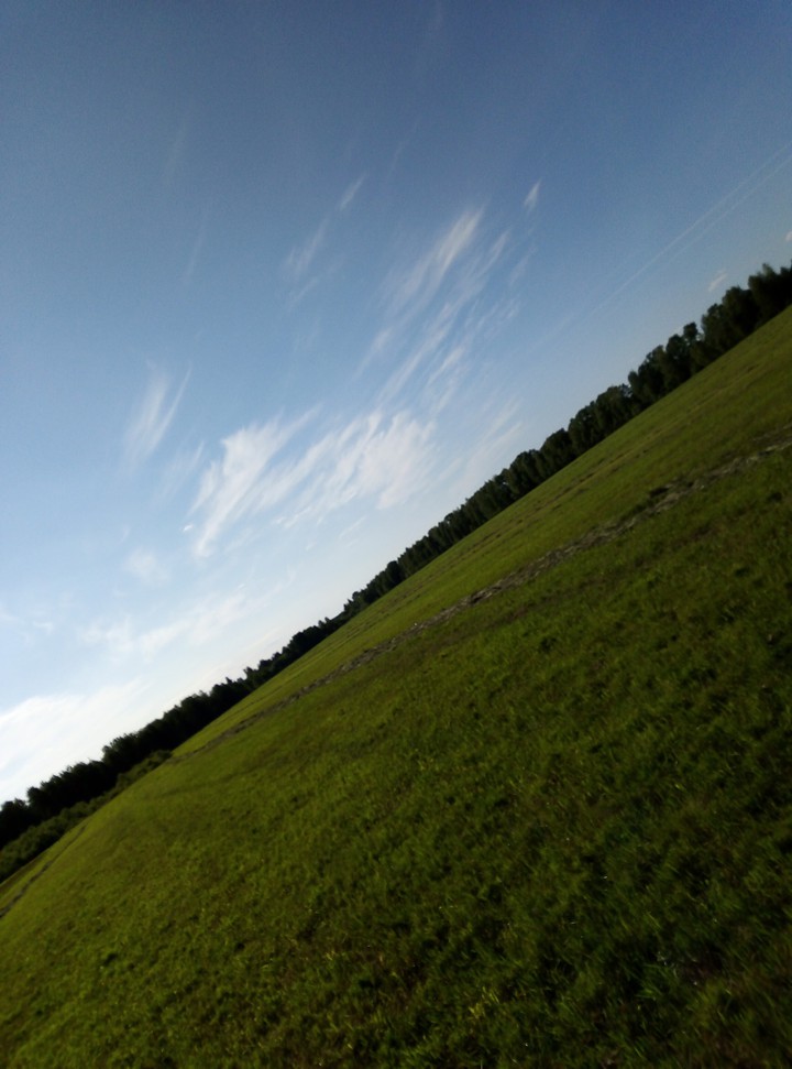 Nature glade