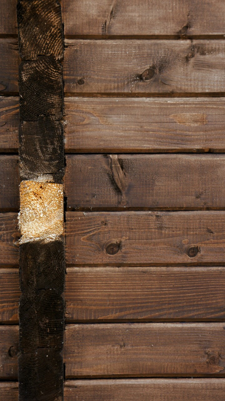 The wood board