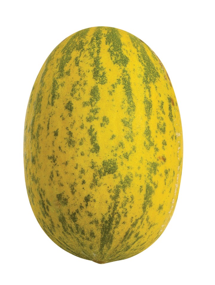 음식이미지