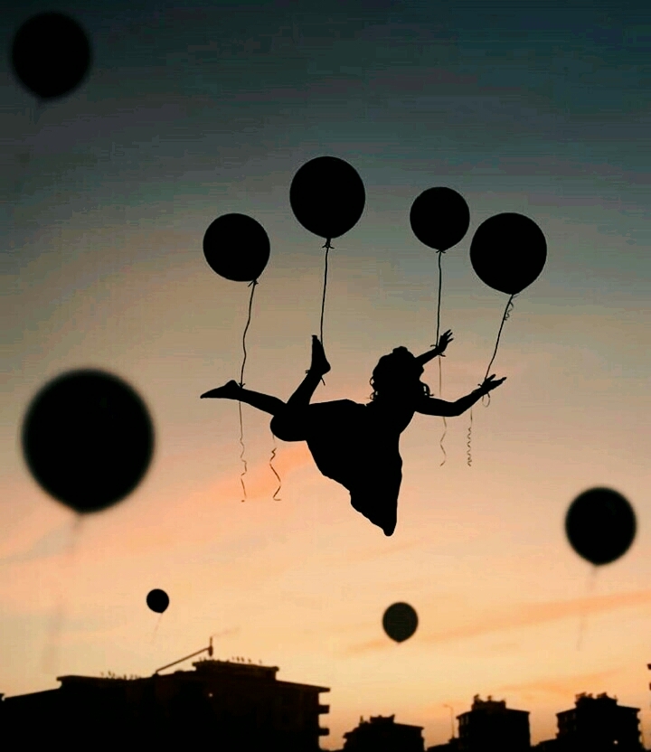fly in your dreams