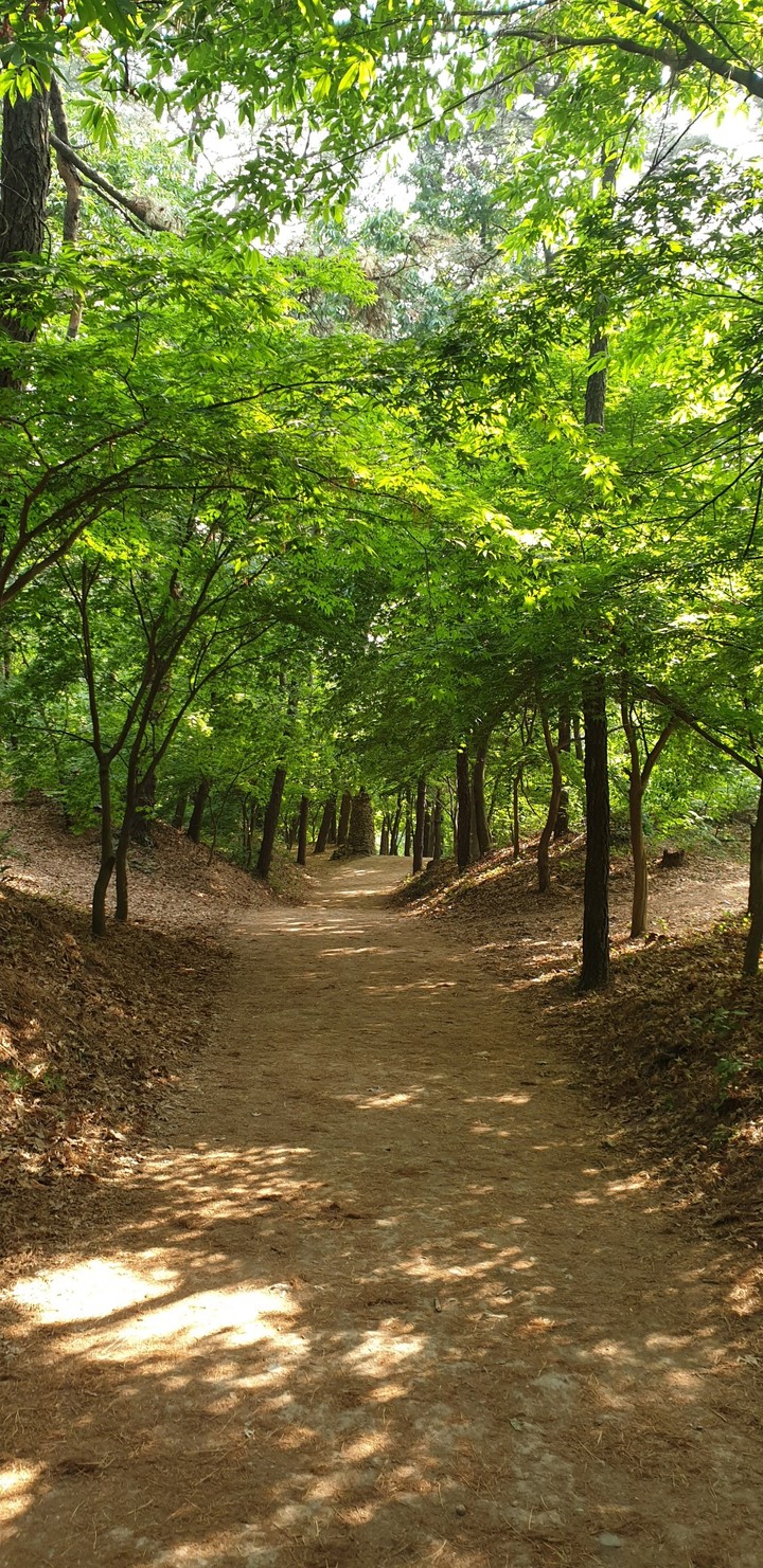 산