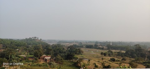tapety Field, Plantation