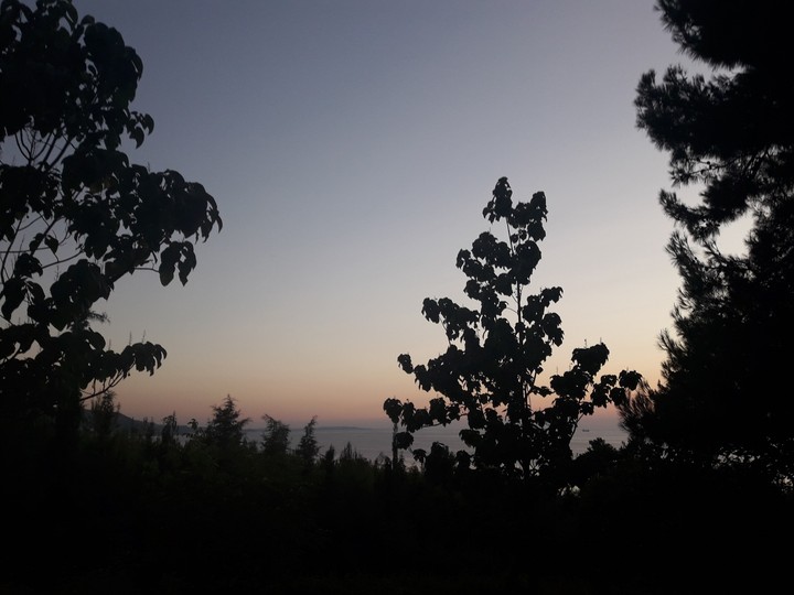 Manzara