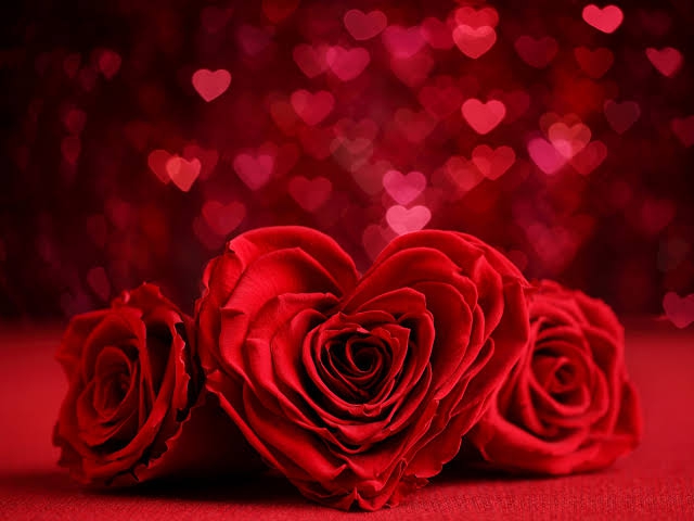 happy Valentine's day