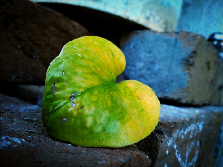 Love,Heart all are same in natural form