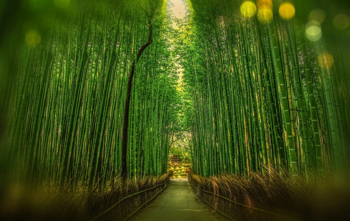 Greenery