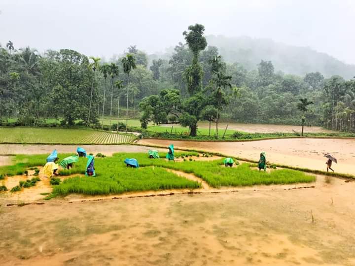 agriculture ???