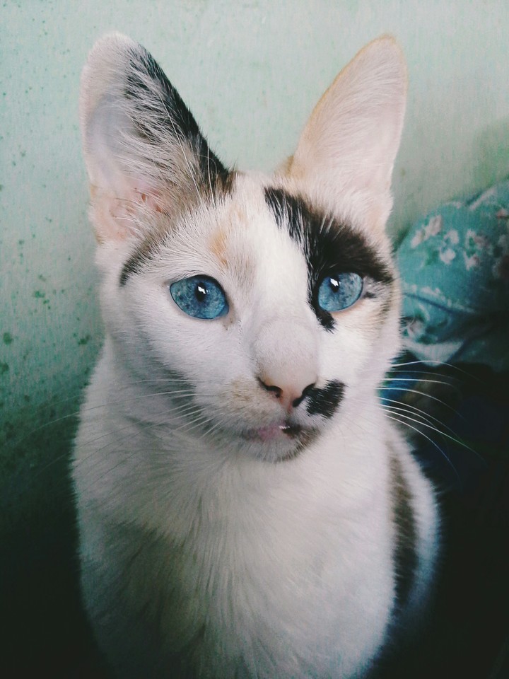 blue eyes