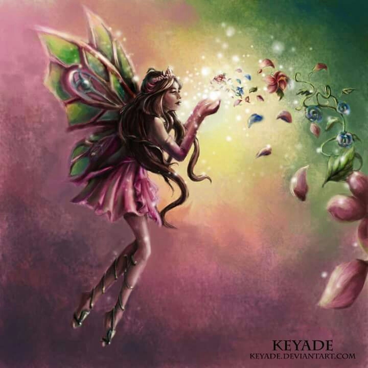 fairy