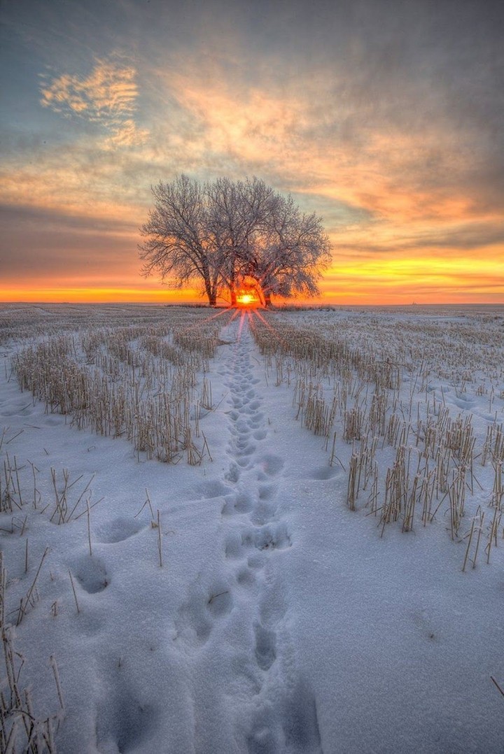 Sunset trail