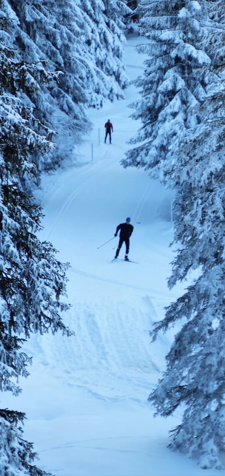 skiing resorts