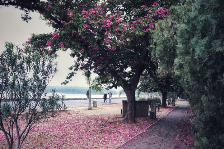 sukhna lake chandigarh