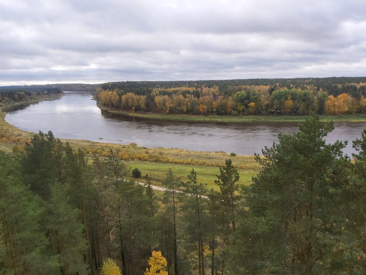 lakes, botany))