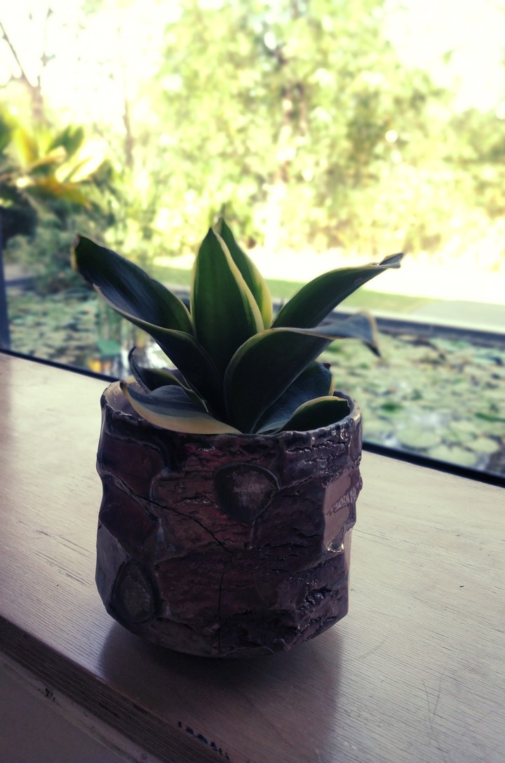 Green Leaves