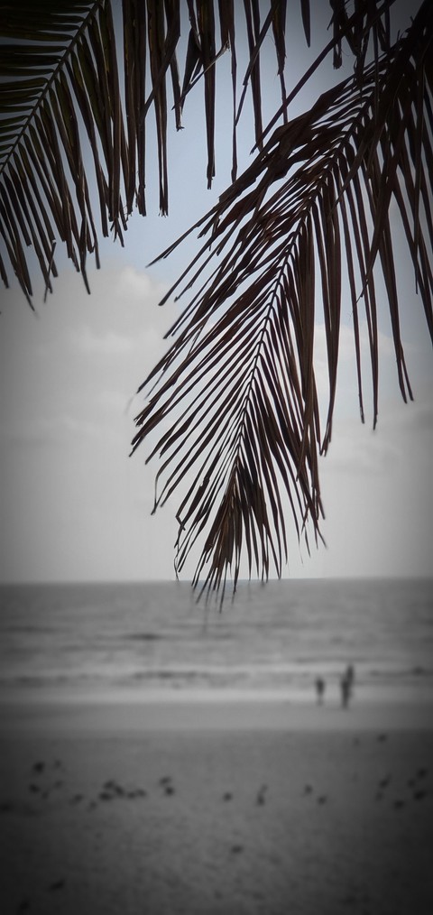 Calm