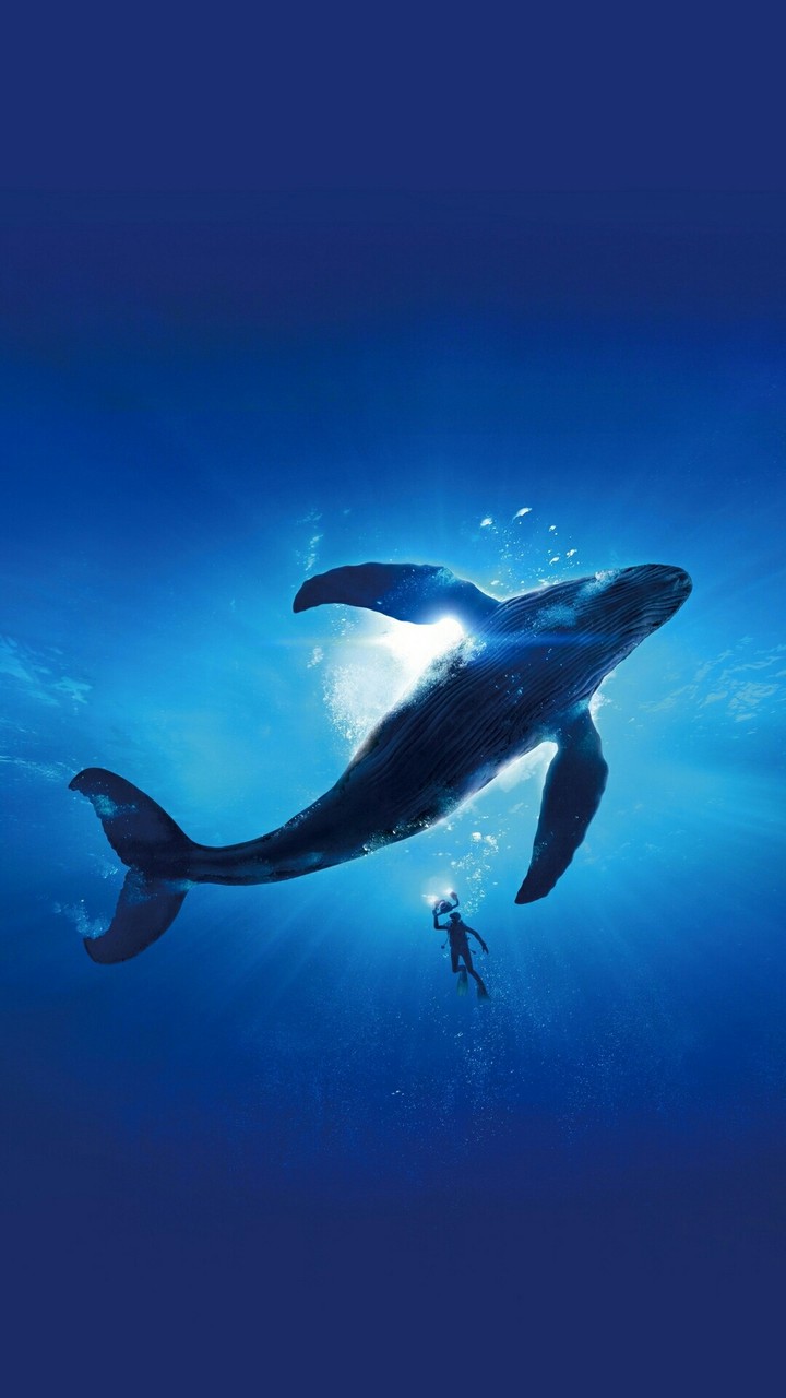 Ocean wide