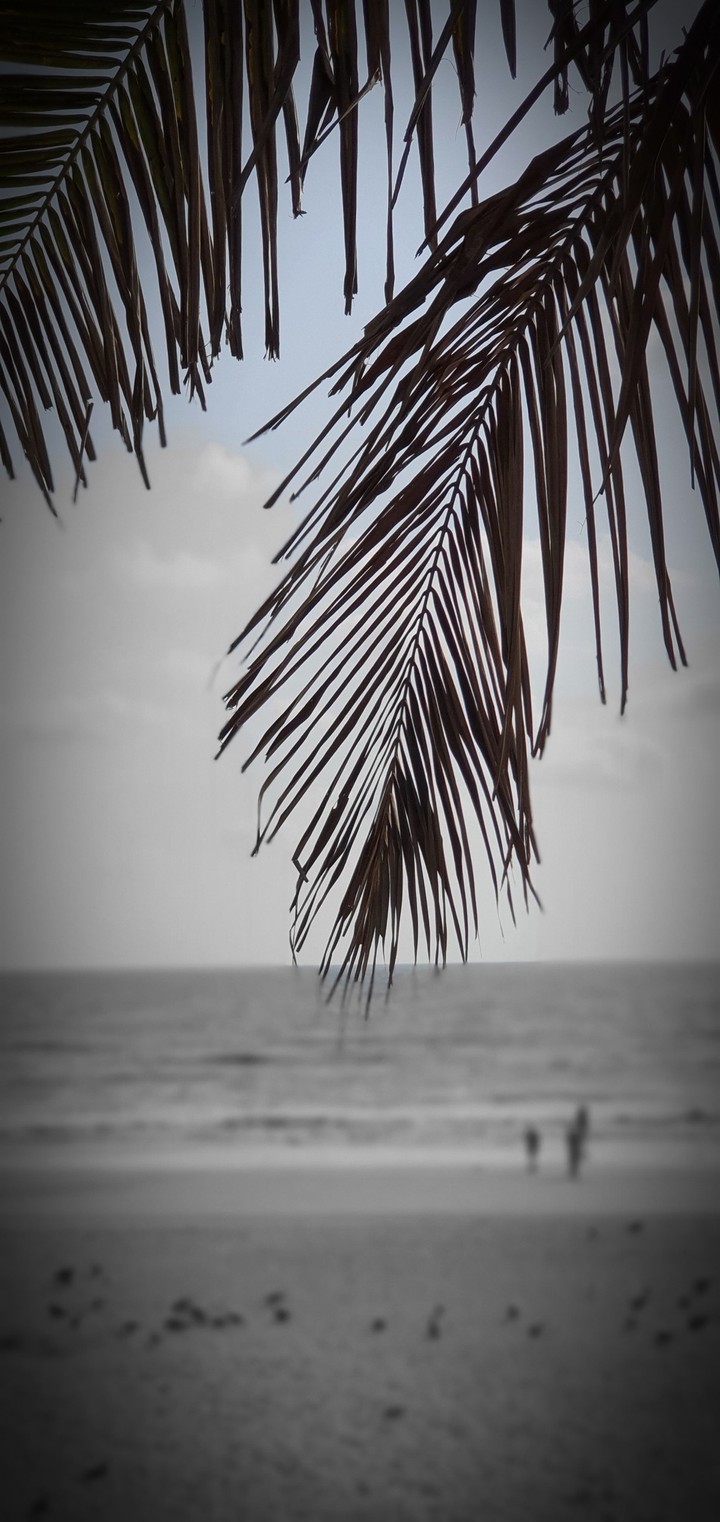 Calm