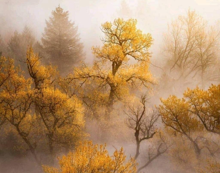 fall