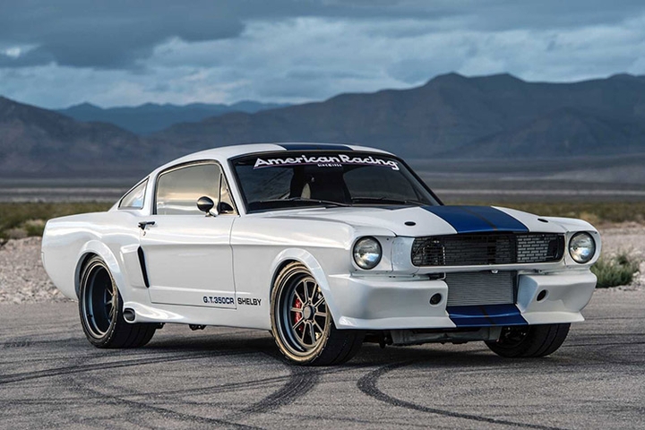 SHELBY?
