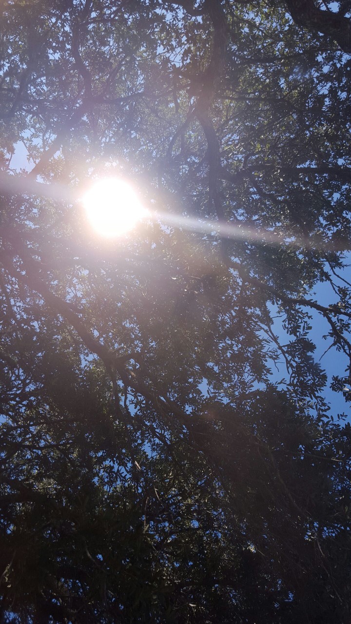 fake sun