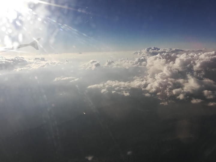 Fly