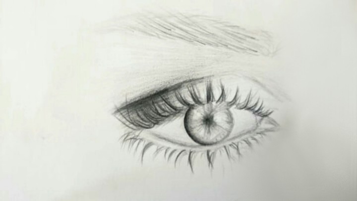 eye