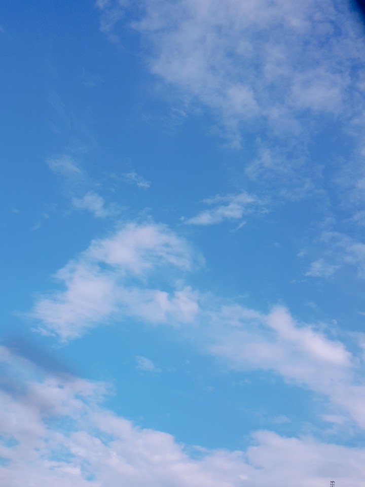 맑음