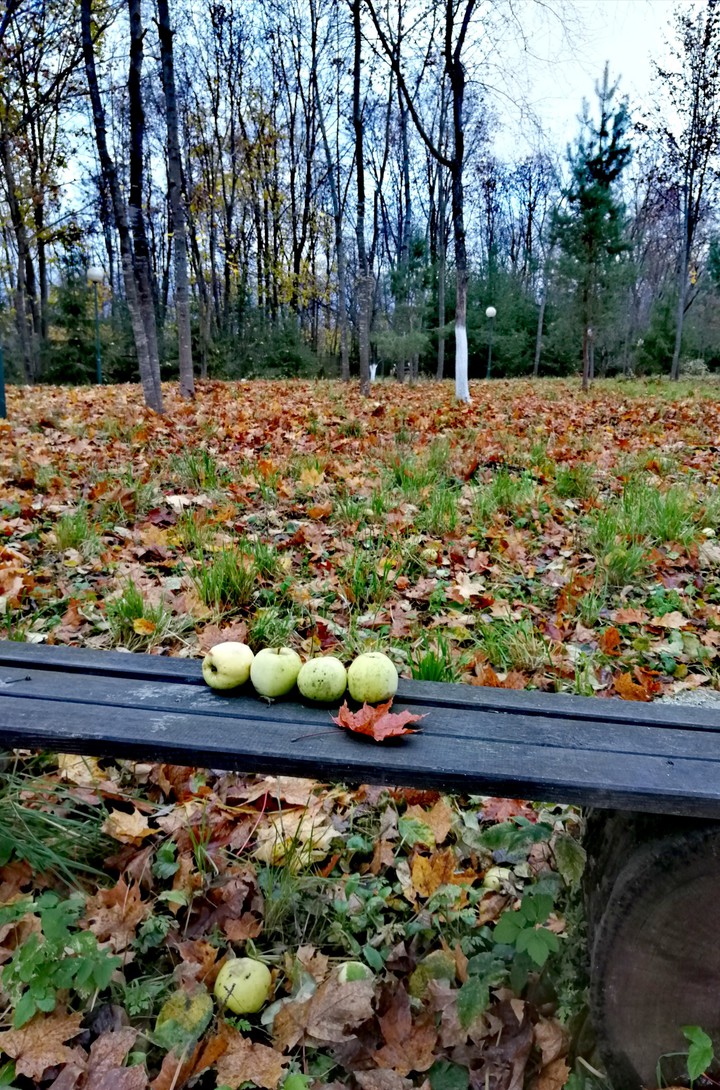 гармония