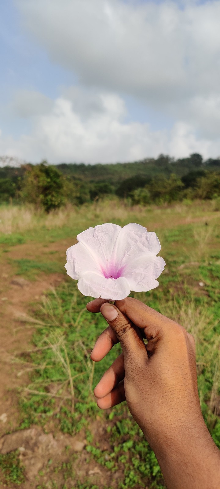 Nature Bliss