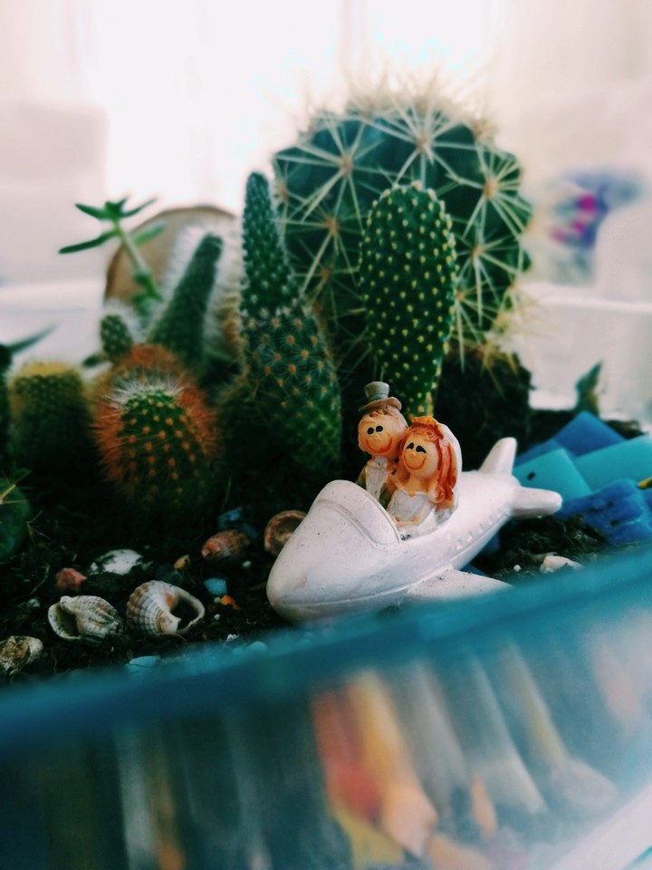 cactus bride and groom