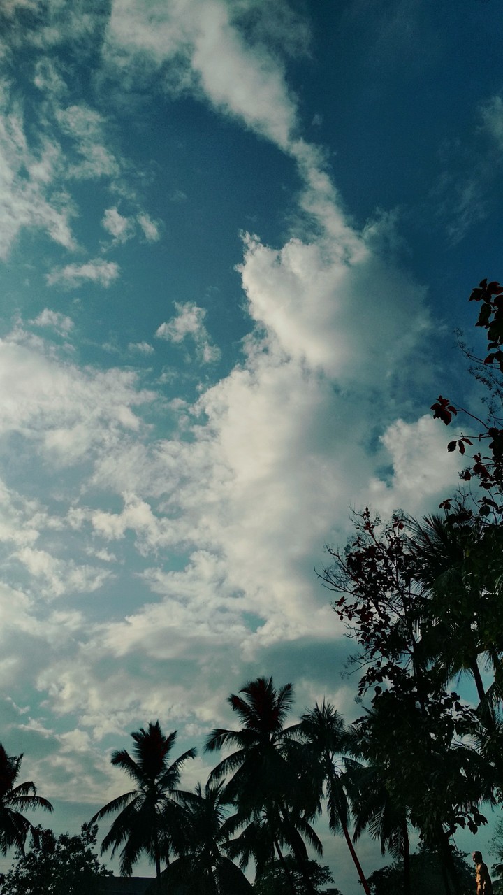 Clouds