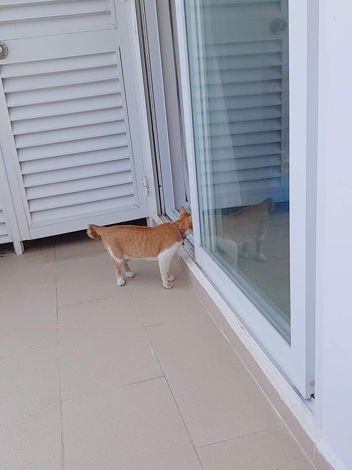 she is carefull