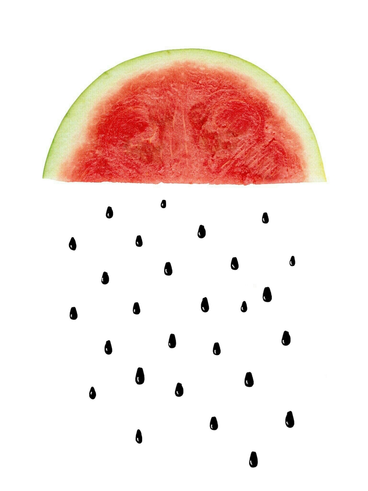 Fruit