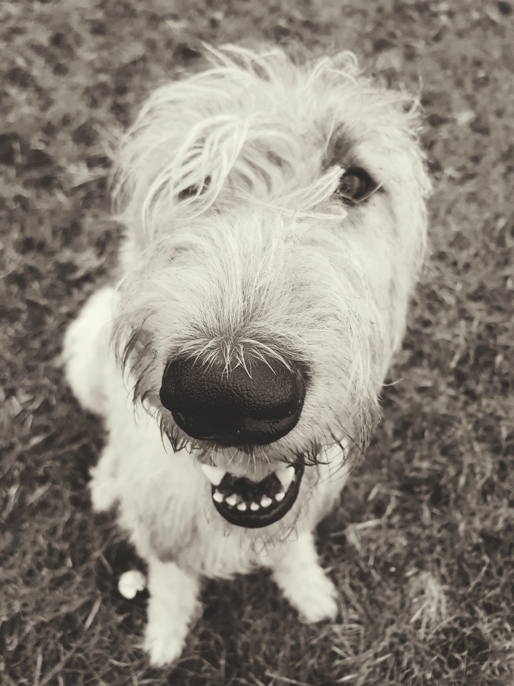 Mr. hairy.... :  )