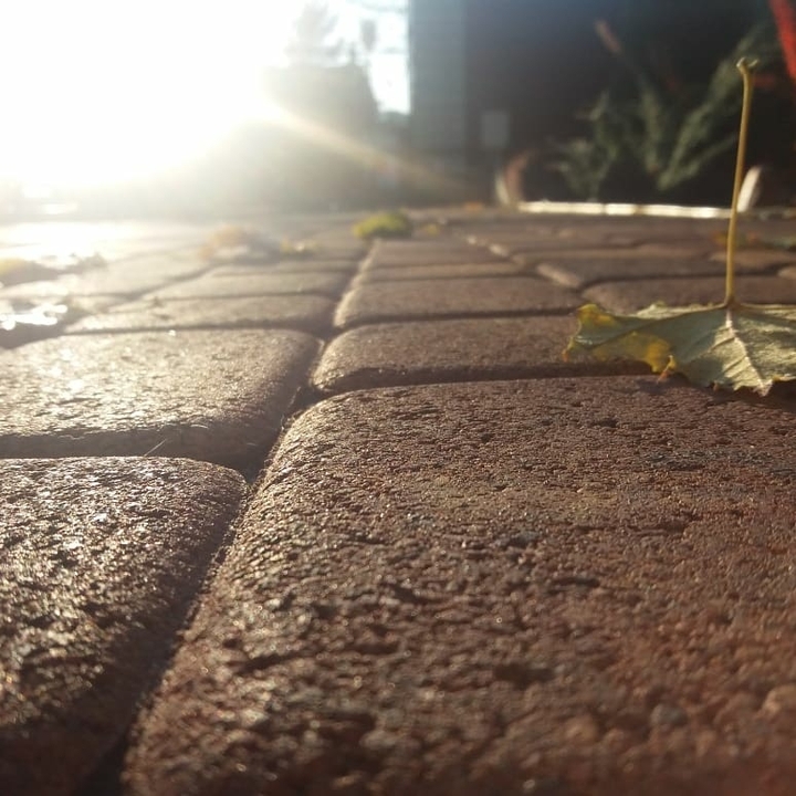 Autumn