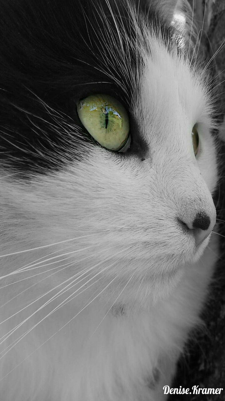in love with this wonderful Eyes