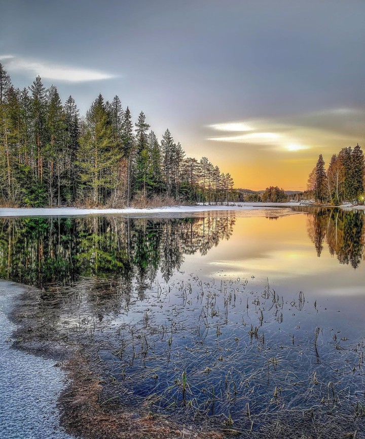 nature
