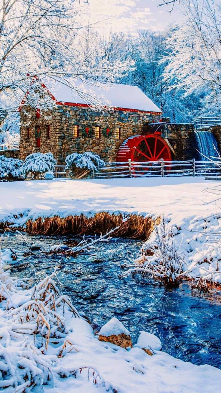winter