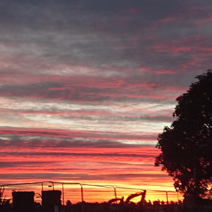 red sky in the morning