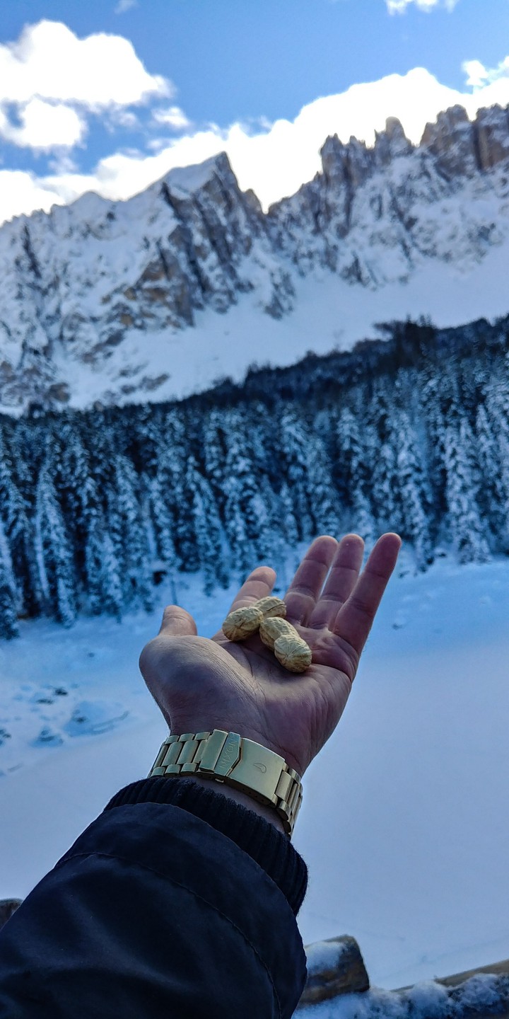 two peanuts enough to enjoy this view