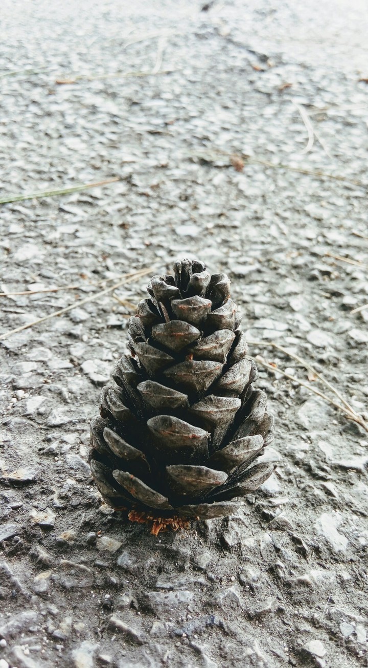 Nature is pure