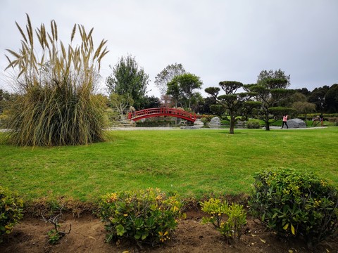 Puente Jardín Japonés