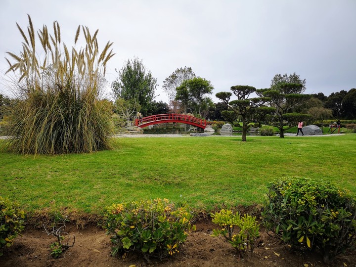 Puente Jardín Japonés